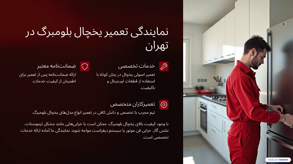 اینفوگرافیک نمایندگی تعمیرات یخچال بلومبرگ در تهران